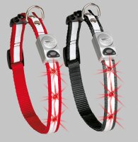 LED HALSBAND rot