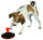 Dog Activity Snack-Kreisel 14/11 cm grau/orange
