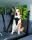 Auto-Geschirr Dog Protect