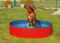 Doggy Pool
