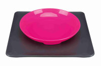 Yummynator, rutschfestes Napf-System, 24 x 24 cm