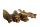 Rinderohren