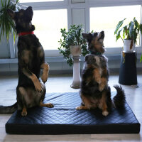Beckers Dream Comfort Hundematte, Kunstleder, Gesteppt 8 cm