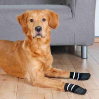 Hundesocken, Rundum mit Anti-Rutsch-Gummierung