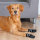 Hundesocken, Rundum mit Anti-Rutsch-Gummierung