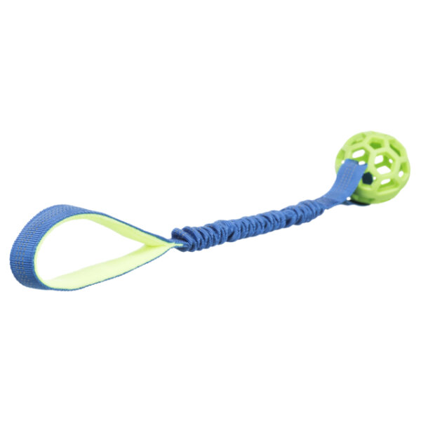 Bungee Tugger mit Ball