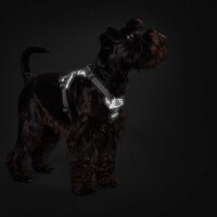 Hunter Hundegeschirr Divo Reflect