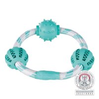 Denta Fun Seilring m. Bällen, Minze, Naturgummi,...