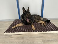 Beckers Beste Hundematte mit Pfotenmotiv beiger/dbraunes Pfoten-5 cm-100x55