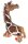 Giraffe Gina