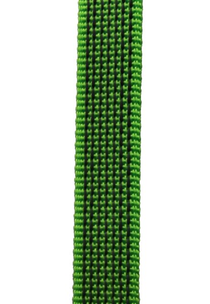 Pistazie